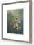 Image for Frilled Coquette & Honeysuckle