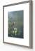 Image for Saw-billed Hermit & Honeysuckle