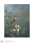 Image for Saw-billed Hermit & Honeysuckle