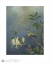 Image for Versicolored Emerald & Honeysuckle