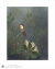 Image for Ruby Topaz & Honeysuckle