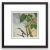 Image for Coming Soon...Male & Female Ruby-throated Hummingbird
