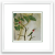 Image for Coming Soon...Male & Female Ruby-throated Hummingbird