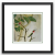 Image for Coming Soon...Male & Female Ruby-throated Hummingbird