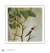 Image for Coming Soon...Male & Female Ruby-throated Hummingbird