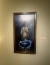 Image for The Venue